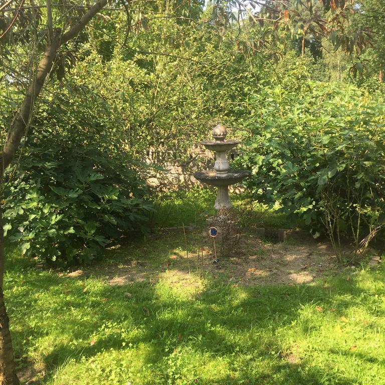 Villa In Walsrode Εξωτερικό φωτογραφία